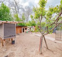 A garden with wooden structures and trees near a family house in Nitra.