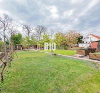 View from a family house in Nitra with a lawn and garden beds.