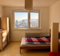 A bedroom in a studio apartment with a bed, a cabinet, and a floor with a wooden decor.