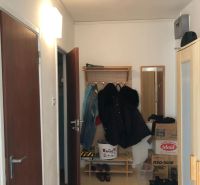 Hallway in a one-room apartment with a coat rack, shoe cabinet, and cardboard boxes.