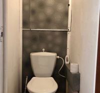A toilet in a one-room apartment with a decorative wall and a floor with a wooden decor.
