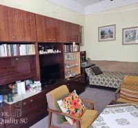 A living room with a wooden wall, carpeted floor, and retro furniture in a two-room apartment.