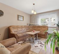 Living room in a family house with a comfortable sofa, carpet, and wooden decor flooring.