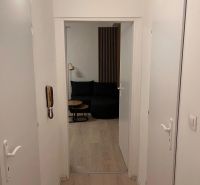 A hallway in a one-room apartment with a wooden decor floor and a door to the room.