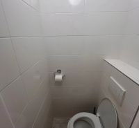 A toilet with white tiles and mosaic decor in a studio apartment.