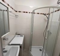 Bathroom with a shower, sink, and washing machine in a studio apartment.