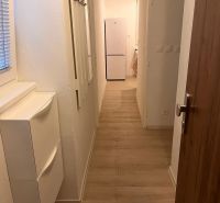 A hallway with a wooden decor floor leads to a white refrigerator in a studio apartment.