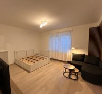 Interior of a 1-room apartment with a wooden decor floor, sofa, and bed.