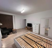 1-bedroom apartment with a bed, sofa, and storage furniture, floor with wood decor.