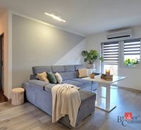 Living room in a 4-room apartment with a sofa and a wooden decor floor.