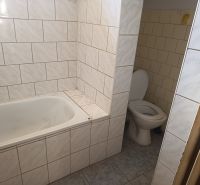 Bathroom in a family house with a bathtub and toilet tiled with light tiles.