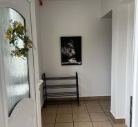 Spacious hallway with tiles, a picture of a lion, and a metal stand.