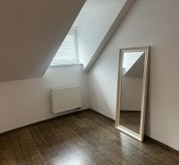Attic room with wooden decor flooring and a large mirror in a 2-room apartment.