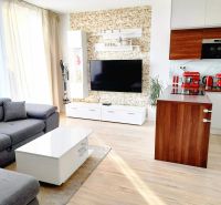 Living room in a 3-room apartment with a wooden decor floor and a sofa set.