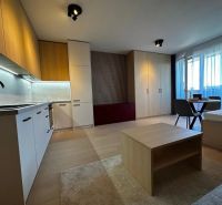 A kitchen with a wood-patterned floor, a dining table, and storage spaces, a studio apartment.