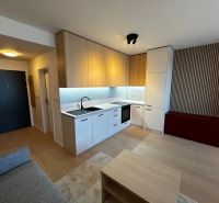Kitchen unit with appliances, wooden decor flooring, and red storage space.