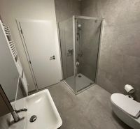 A bathroom in a studio apartment with a shower, sink, and toilet.