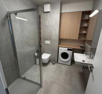 A bathroom in a studio apartment with an elegant shower and a washing machine next to the sink.