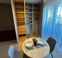 Dining area with a table and a built-in wardrobe in a studio apartment.
