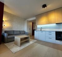Kitchen unit and sofa in a studio apartment with a wood-patterned floor.