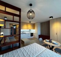 Interior of a 1-room apartment with wood-patterned flooring, kitchen, and furniture.