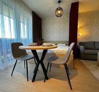 Dining area and living space in a studio apartment with wood-patterned flooring.