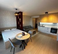 Interior of a 1-room apartment with a kitchenette, bed, and table on a floor with a wooden decor.