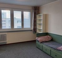 Studio apartment with carpet, bed, desk, and chair.