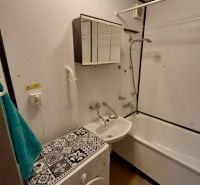 A bathroom in a studio apartment with a washing machine and a bathtub, light walls, and a mirror.
