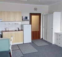 Studio apartment with a kitchen, sofa, and furniture, wooden decor flooring, Bratislava.