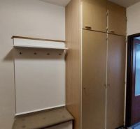 A hallway in a studio apartment with a coat rack, shoe cabinet, and a large wardrobe, flooring with a wooden decor.