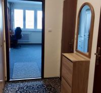A hallway in a studio apartment with a carpet and wooden decor furniture.