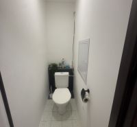 A narrow toilet in a 2-room apartment with white walls and tiles.