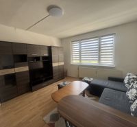 Living room in a two-room apartment with a gray sofa and a wooden decor floor.