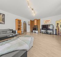 A living room in a family house with a wooden decor floor and a fireplace.