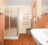 A bathroom in a family house with a wooden decor floor, a shower corner, and a sink.