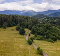 The nature surrounding Horná Lehota with forests and a road between meadows.