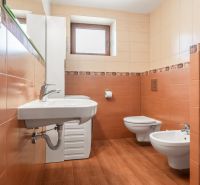 A bathroom in a family house with orange tiles, a sink, and a bidet.