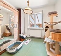 A room in a family house with a cat tree, a mirrored wardrobe, and a floor with a wooden decor.