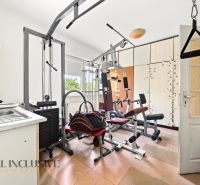 Fitness facility in a family house with exercise machines and a sink.