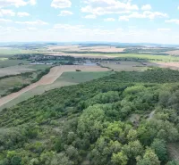 Aerial view of agricultural and forest land around Tornala.