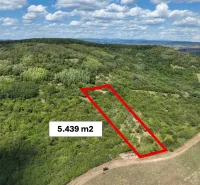 Agricultural and forest lands in Tornaľa surrounded by dense forests and greenery.