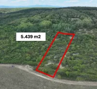 Agricultural and forest land in Tornaľa with an area of 5,439 m², surrounded by greenery.