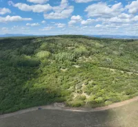 Wooded agricultural and forest lands around Tornaľa under a blue sky.