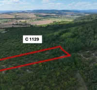 Agricultural and forest lands in Tornaľa with marked area and picturesque surroundings.