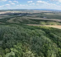 The landscape in Tornaľa with mixed agricultural and forest lands under a clear sky.