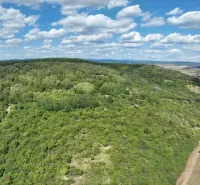Meadows and forests around Tornele, agricultural and forest lands, under the blue sky.