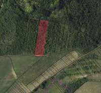 Agricultural and forest land in Tornala, clearly marked parcel boundary in red.