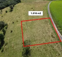 A plot of land with an area of 1,016 m², special properties, Stará Ľubovňa, next to the road, green meadow.