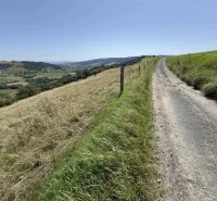 A country road surrounded by meadows and hills in the background, unusual properties in Stará Ľubovňa.